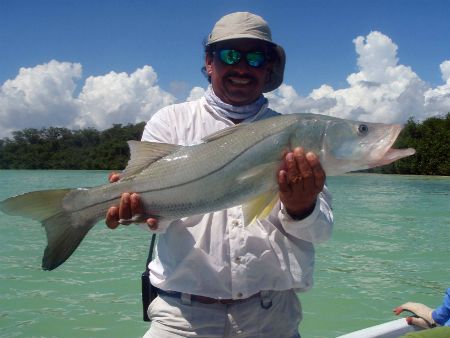 Ascension bay snook fly fishing